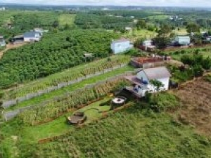 Farm nhà vườn