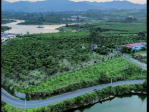 8000m2 Lộc Châu