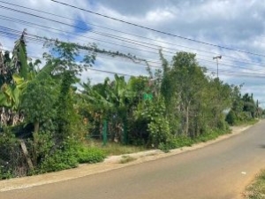 Lô gốc Ngô Đức Kế