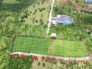 897m2 Đất Lộc Thành