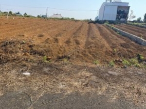 131m2 Phường 2