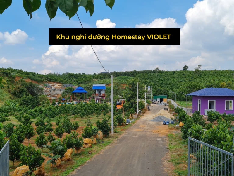 3000m2 Đất Lộc Thành