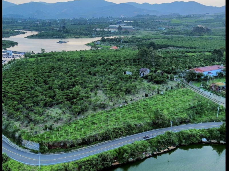 8000m2 Lộc Châu