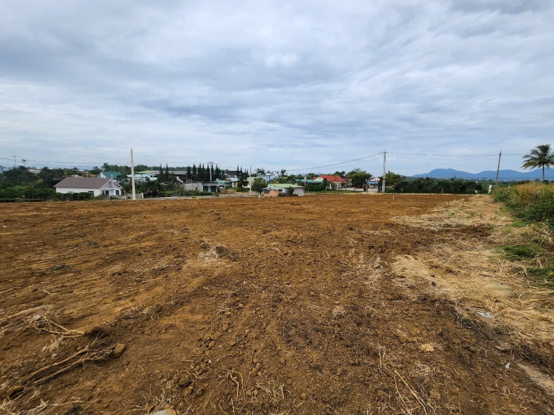300m2 Đam bri 300m2 Đam bri