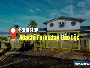 Đánh Giá Adachi Farmstay Bảo Lộc: Thiên Đường Cho Các Cặp Đôi
