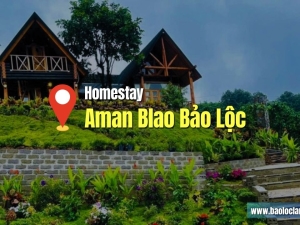 Aman Blao Bảo Lộc: Bất Động Sản Nghỉ Dưỡng Trên Tầng Mây