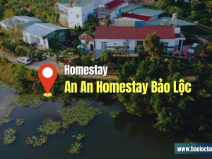 Đánh Giá An An Homestay Bảo Lộc: View Hồ Nam Phương Đẹp Tuyệt!