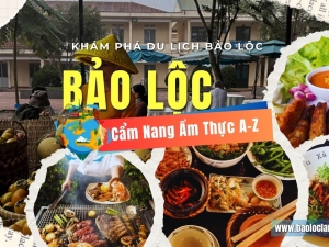 Ăn Gì Ở Bảo Lộc Cho Người Mới Đến Lần Đầu? Cẩm Nang Ẩm Thực Từ A-Z!