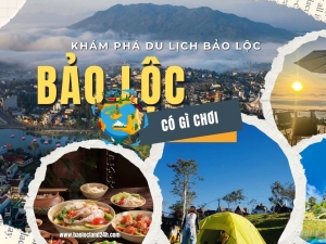 Bảo Lộc Có Gì Chơi 2025? Khám Phá Trọn Vẹn Xứ Trà Ở Lâm Đồng!