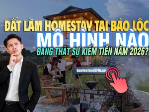 Đất làm homestay tại Bảo Lộc – Mô hình nào đang thật sự kiếm tiền năm 2026?
