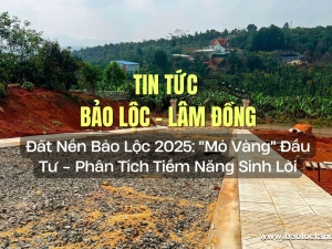 Đất Nền Bảo Lộc 2025: 