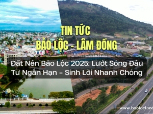 Đất Nền Bảo Lộc 2025: Lướt Sóng Đầu Tư Ngắn Hạn - Sinh Lời Nhanh Chóng