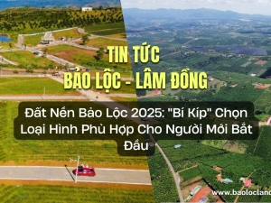 Đất Nền Bảo Lộc: 