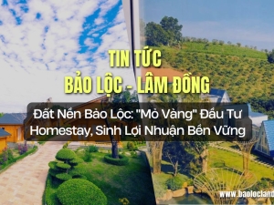 Đất Nền Bảo Lộc: 