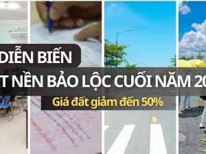 Phân tích thị trường đất nền Bảo Lộc cuối năm 2024: Những diễn biến nhà đầu tư cần chú ý!