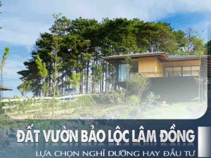 Đất Vườn Bảo Lộc Lâm Đồng - Câu Chuyện Nghỉ Dưỡng và Đầu Tư