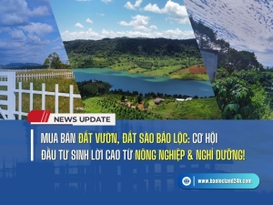 Mua Bán Đất Vườn, Đất Sào Bảo Lộc: Đầu Tư Nông Nghiệp & Nghỉ Dưỡng!