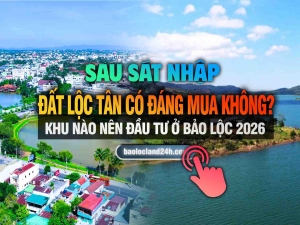 Đất Lộc Tân có đáng mua không? Khu nào nên đầu tư ở Bảo Lộc 2026
