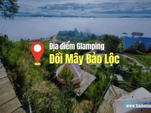Đồi Mây Bảo Lộc: Địa Điểm Số 1 Cho Tín Đồ Glamping & Săn Mây 