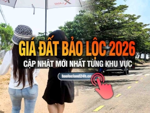 Giá đất Bảo Lộc 2026 – Cập nhật mới nhất từng khu vực