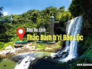 Đánh Giá Khu Du Lịch Thác Damb'ri Bảo Lộc: Trải Nghiệm 