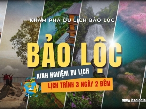 Kinh Nghiệm Du Lịch Bảo Lộc 3 Ngày 2 Đêm: Lịch Trình Khám Phá Đầy Ấp Kỷ Niệm!