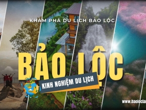 Kinh Nghiệm Du Lịch Bảo Lộc Lâm Đồng 2025: Khám Phá Xứ Trà Từ A-Z