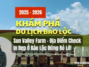 Sun Valley Farm – Địa Điểm Check In Đẹp Ở Bảo Lộc Đừng Bỏ Lỡ!