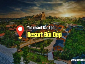 Tea Resort Bảo Lộc (Đôi Dép Resort): Đánh Giá Khu Nghỉ Dưỡng