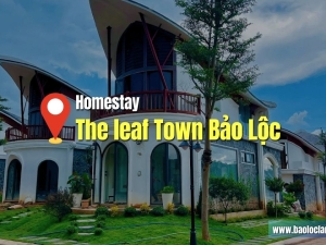 The Leaf Town Bảo Lộc: Đầu Tư Nghỉ Dưỡng Trên Đồi Tiềm Năng Bất Tận