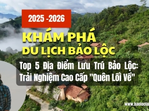 Top 5 Địa Điểm Lưu Trú Bảo Lộc: Trải Nghiệm Cao Cấp 