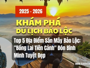  Top 5 Địa Điểm Săn Mây Bảo Lộc 