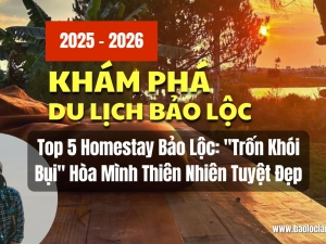 Top 5 Homestay Bảo Lộc: 
