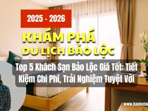 Top 5 Khách Sạn Bảo Lộc Giá Tốt: Tiết Kiệm Chi Phí, Trải Nghiệm Tuyệt Vời