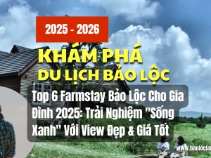 Top 6 Farmstay Bảo Lộc Cho Gia Đình 2025: Trải Nghiệm 