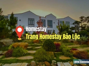 Trang Homestay Bảo Lộc: Đánh Giá Homestay Đẹp Ở Bảo Lộc View Đỉnh