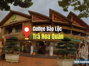 Trà Hoa Quán: Không Gian Trà Đạo Tĩnh Lặng Tại Bảo Lộc