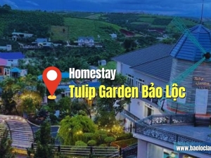 Đánh Giá Tulip Garden Bảo Lộc: Homestay Cho Đại Gia Đình 