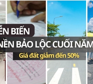 Phân tích thị trường đất nền Bảo Lộc cuối năm 2024: Những diễn biến nhà đầu tư c ...