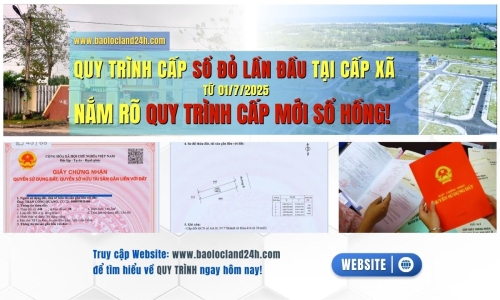Quy Trình Cấp Sổ Đỏ Lần Đầu: Nắm Rõ Quy Trình Cấp Mới Sổ Hồng 2025