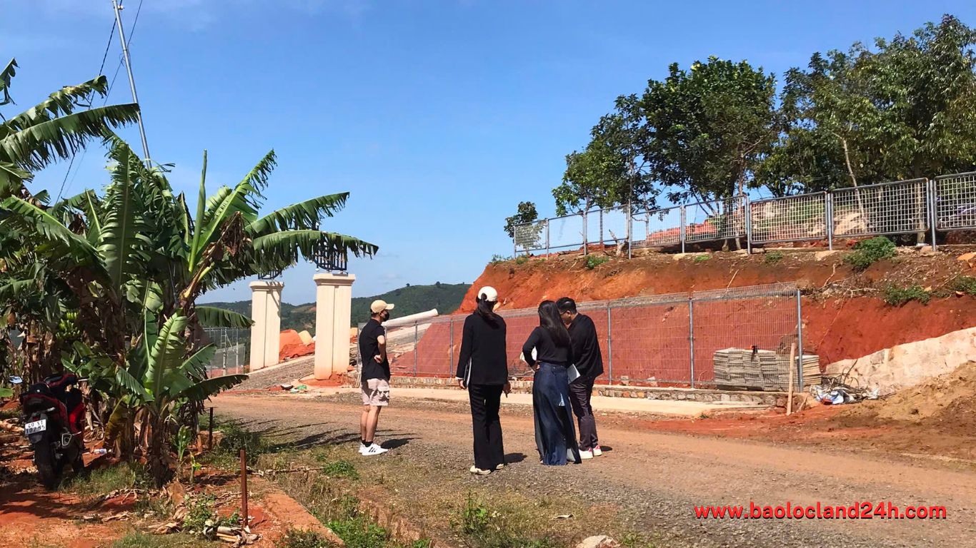 Đất Nền Bảo Lộc: "Bí Kíp" Chọn Loại Hình Phù Hợp Cho Người Mới Bắt Đầu