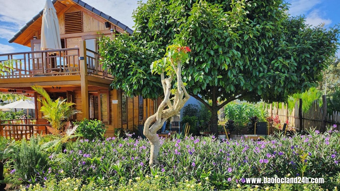 Đất Nền Bảo Lộc: "Chốn Điền Viên" Lý Tưởng Xây Dựng Nhà Vườn Trong Mơ
