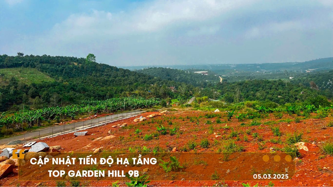 Đất Nền Bảo Lộc 2025: "Mỏ Vàng" Đầu Tư - Phân Tích Tiềm Năng Sinh Lời