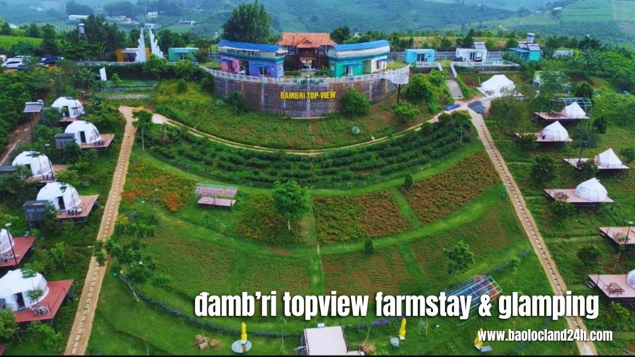 Đamb’ri TopView Farmstay Glamping