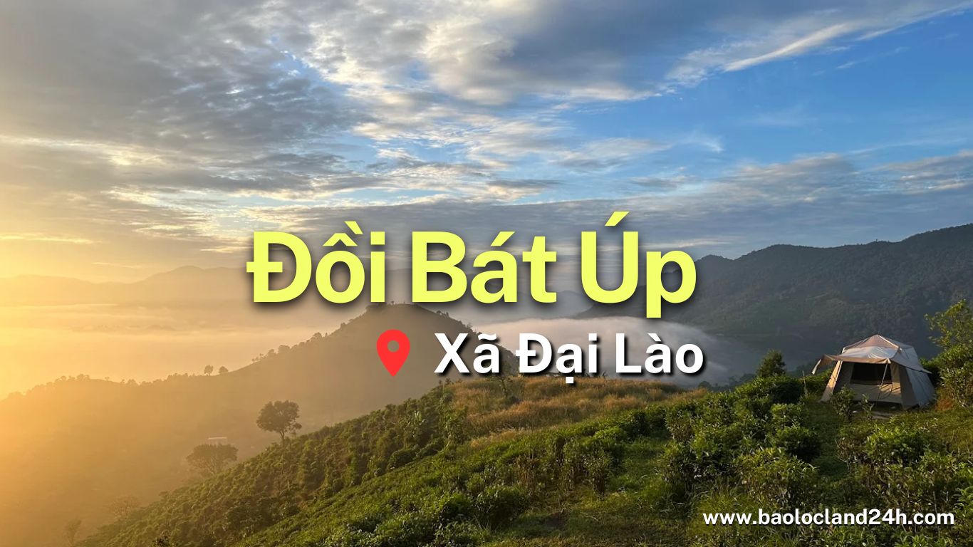Đồi Bát Úp Đại Lào Bảo Lộc: "Thiên Đường Săn Mây" Cho Tín Đồ Trekking