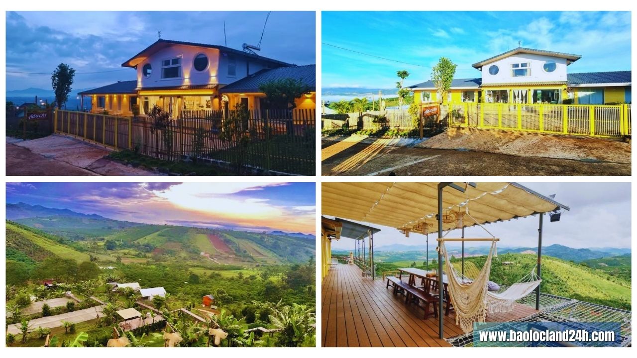 adachi farmstay bảo lộc