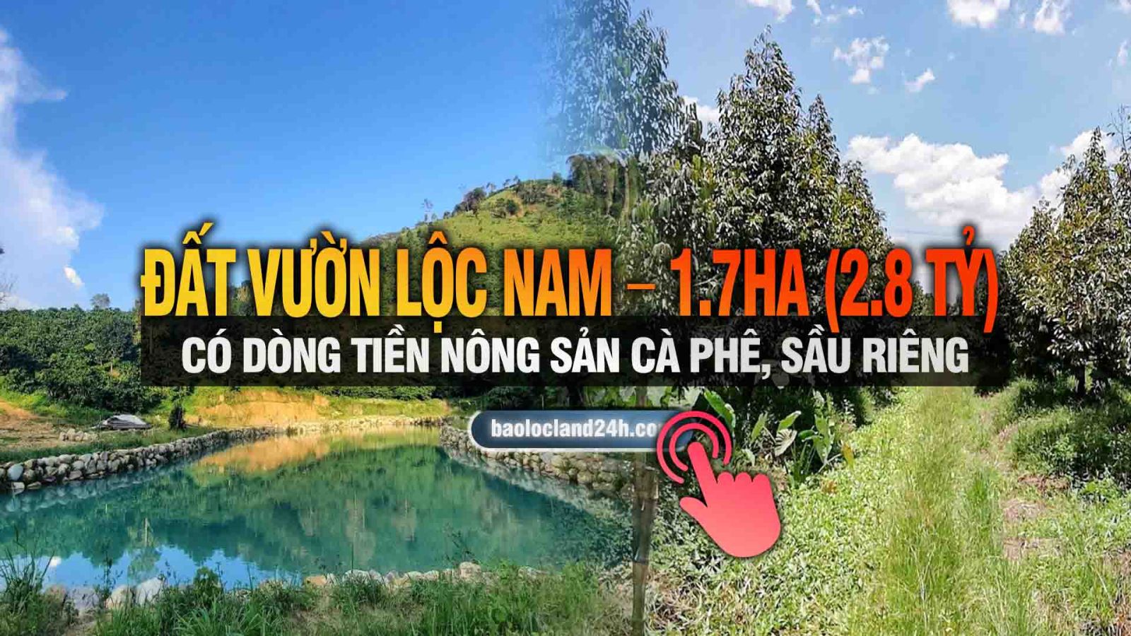 Đất vườn Lộc Nam