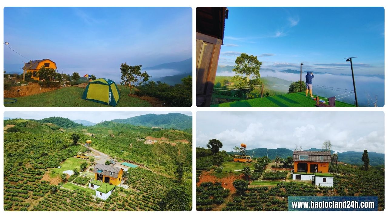 đồi mây lộc thành