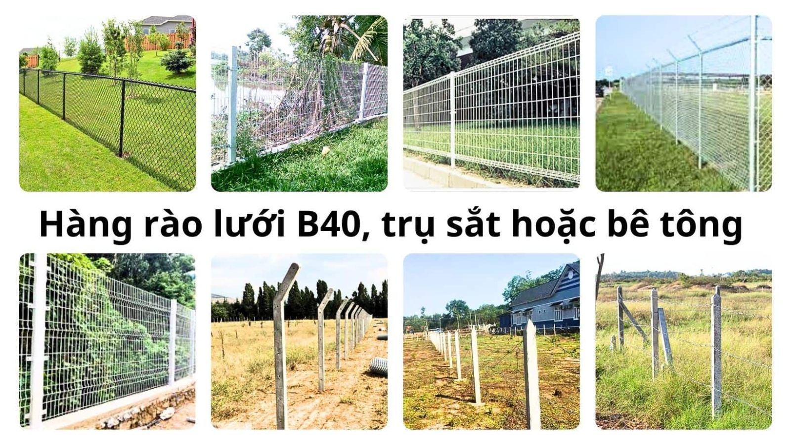 hàng rào lưới b40 