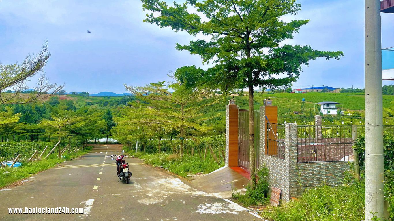100m2 Lô Đất Nền Lộc Tân Gần Cao Tốc 2025